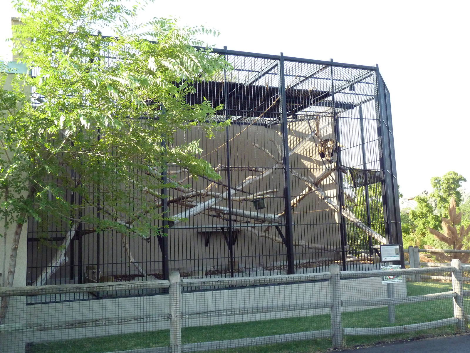 Black Howler Monkey Exhibit