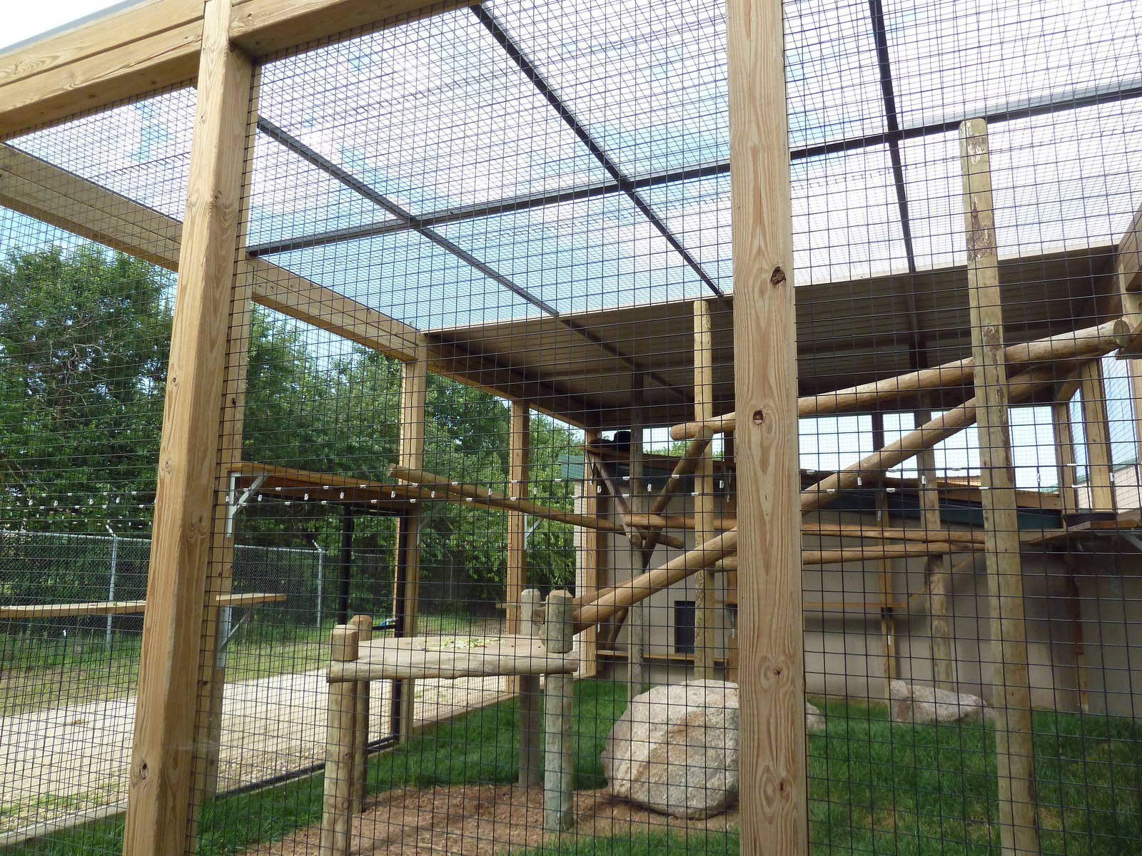 Black Howler Monkey Exhibit