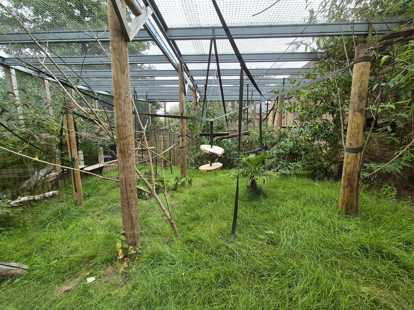 Black howler monkey exhibit.
