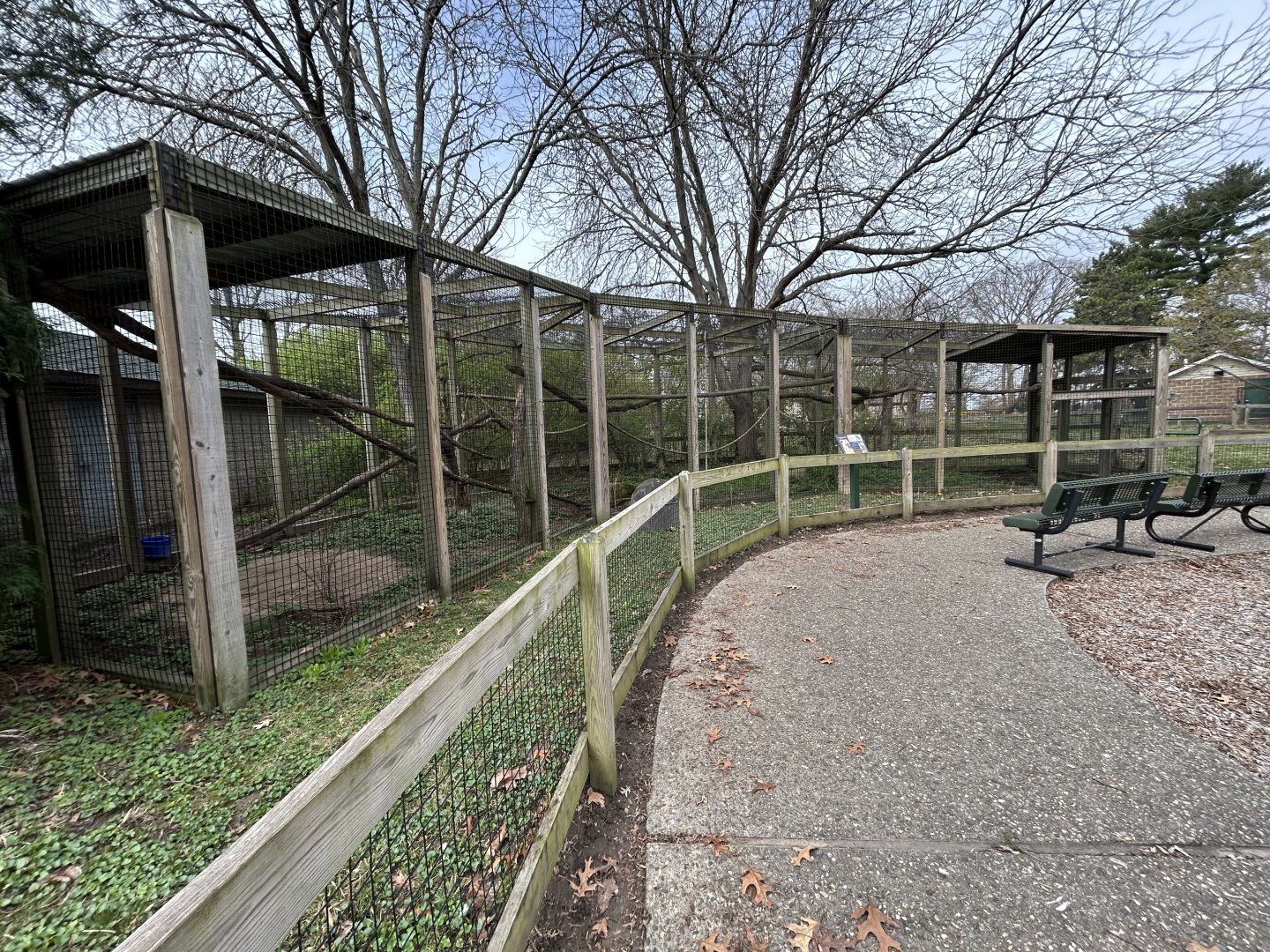 Black Howler Monkey Exhibit