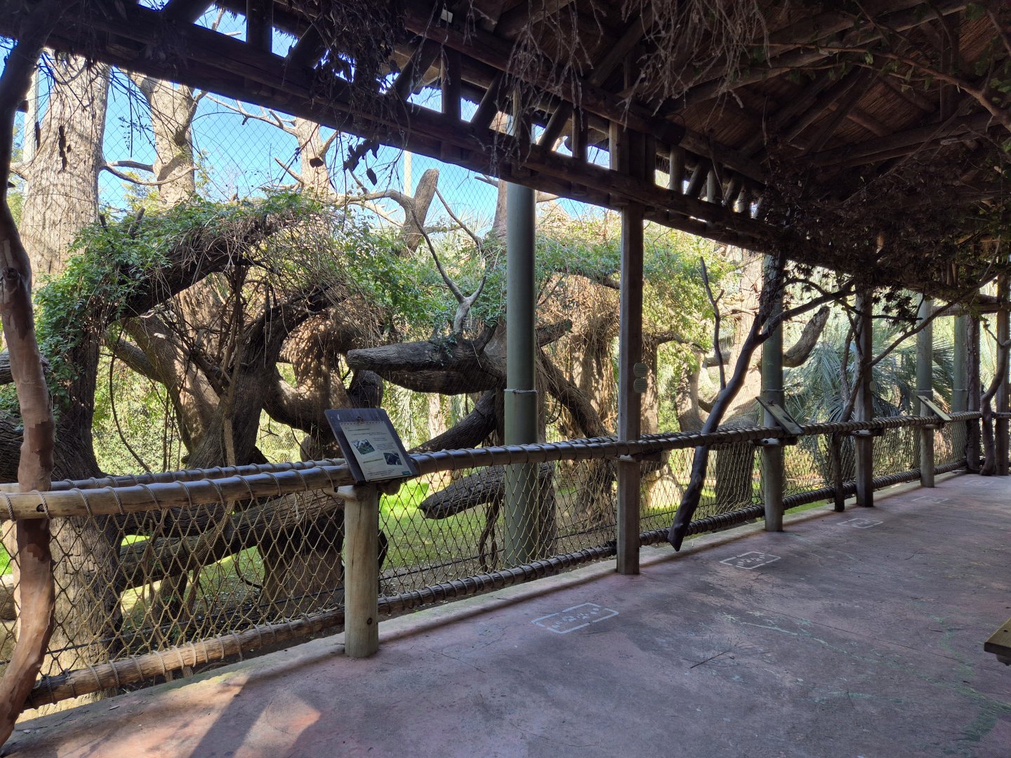 Black Howler Monkey exhibit