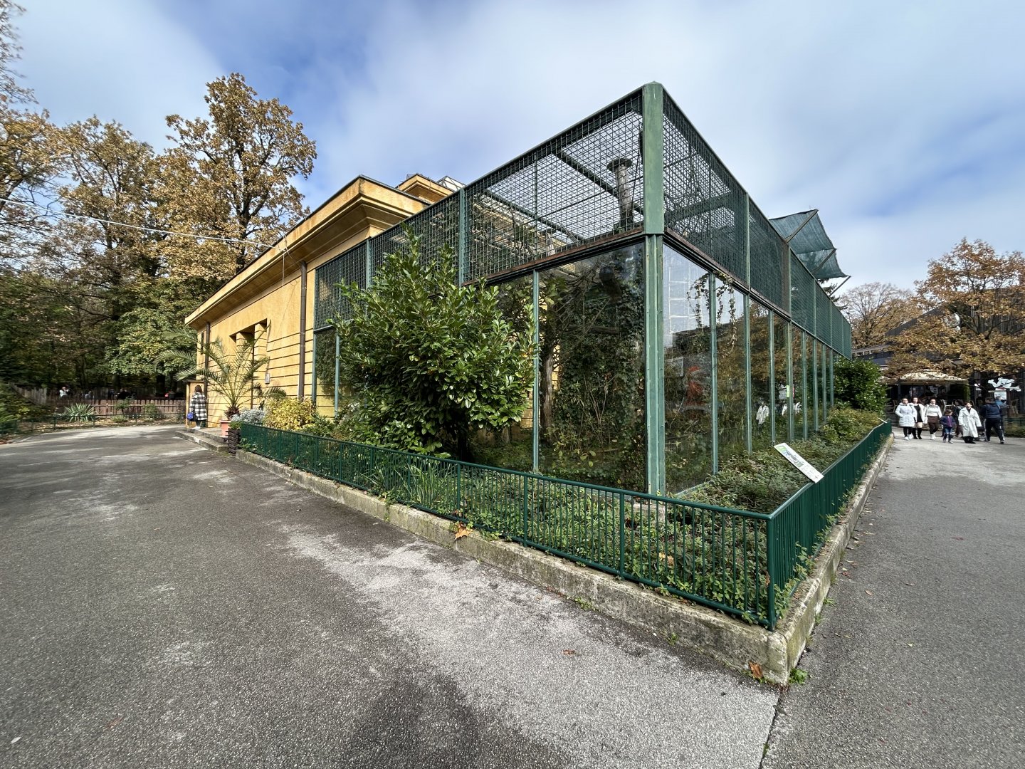 Black Howler Monkey Exhibit