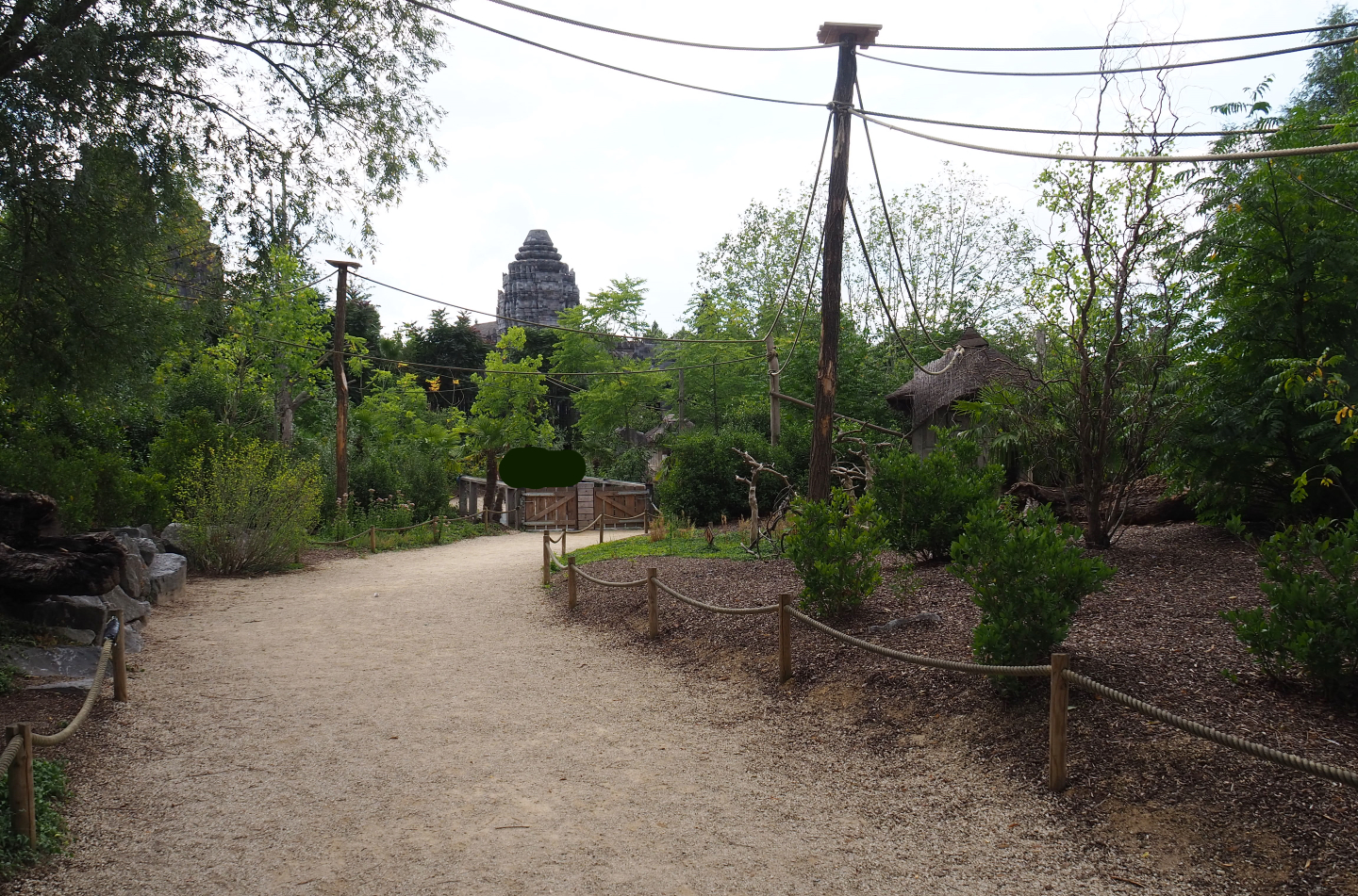 Black howler monkey island, 2020-09-02