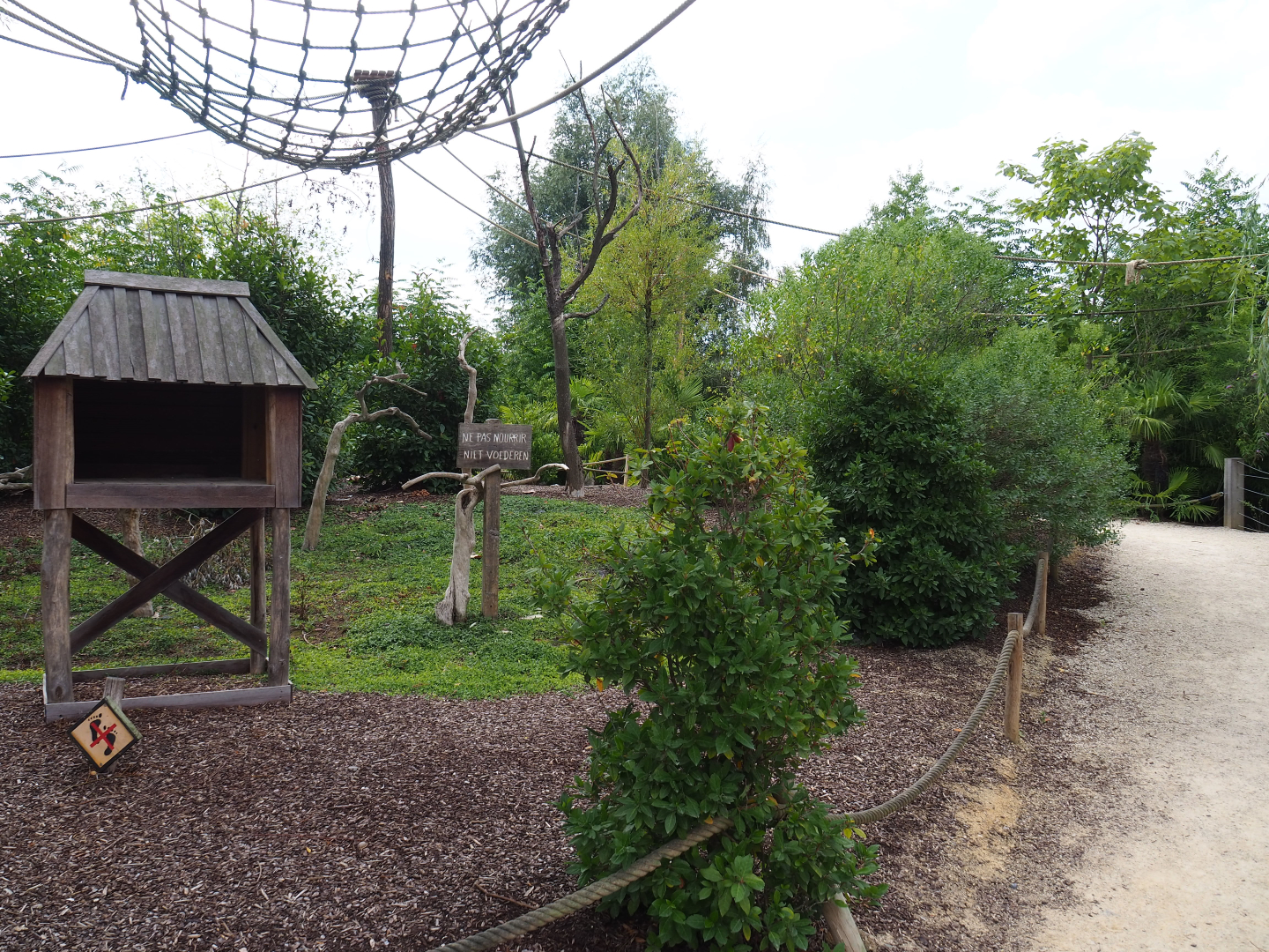 Black howler monkey island, 2020-09-02