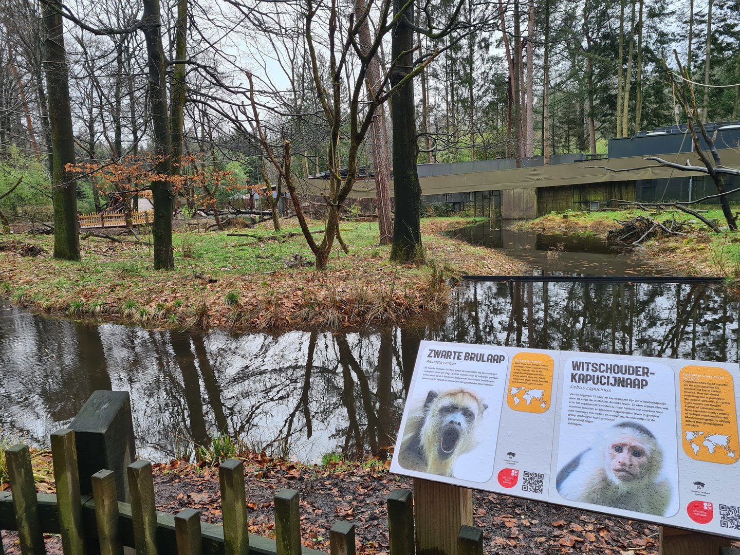 Black howler monkey island