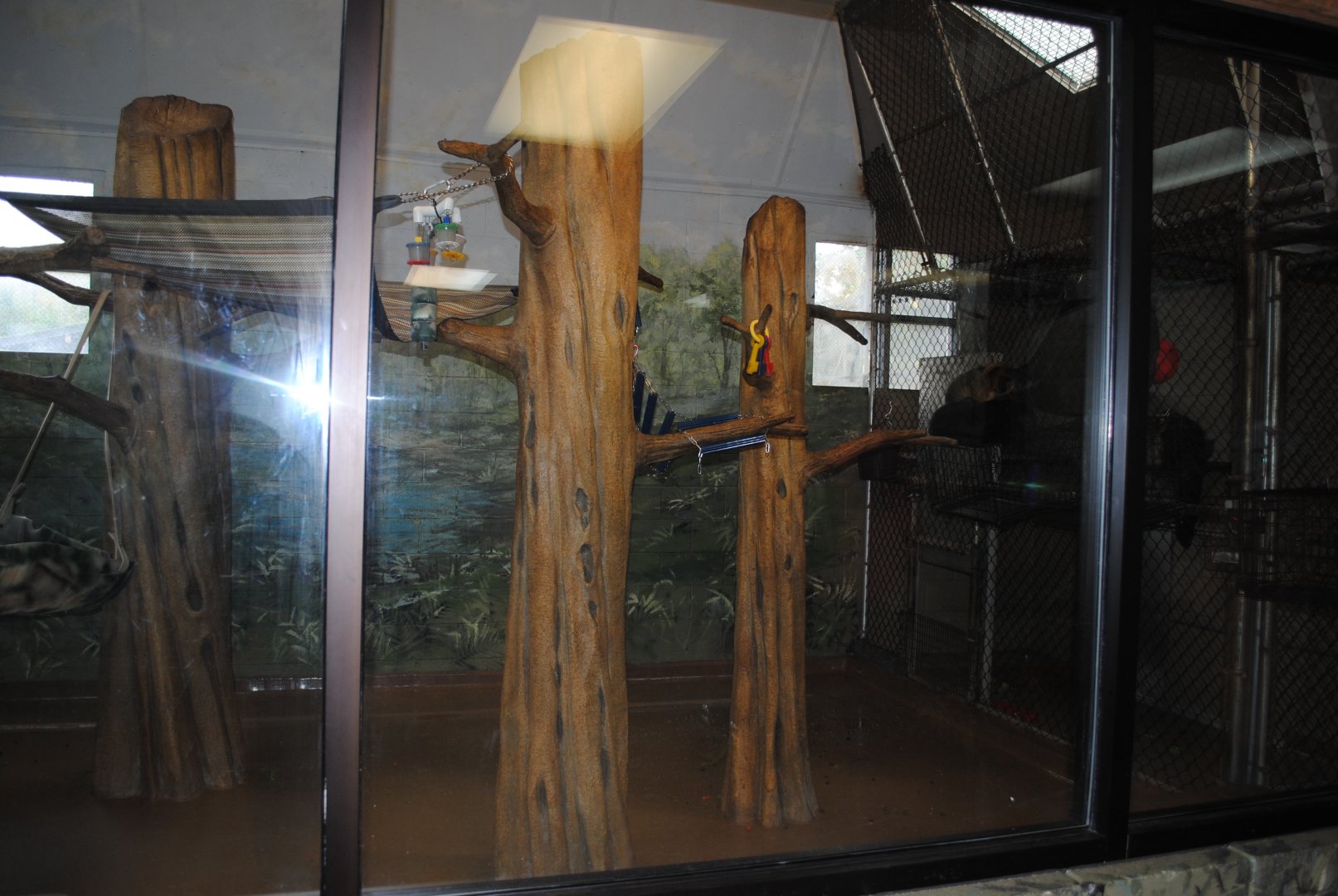 Black Howlers/White-faced Saki exhibit (The Bayou Pavilion)