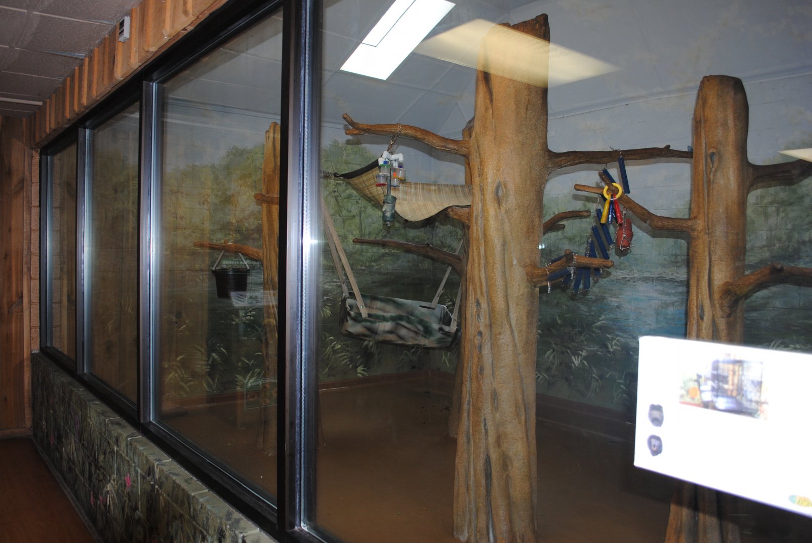 Black Howlers/White-faced Saki exhibit (The Bayou Pavilion)