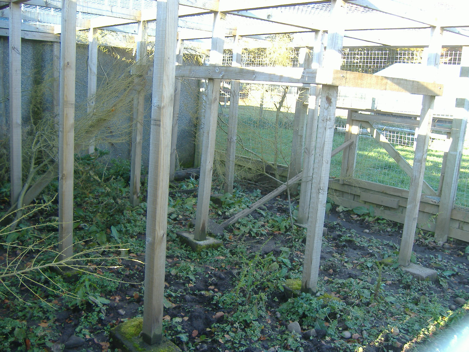 Black Isle Wildlife Park November 2008