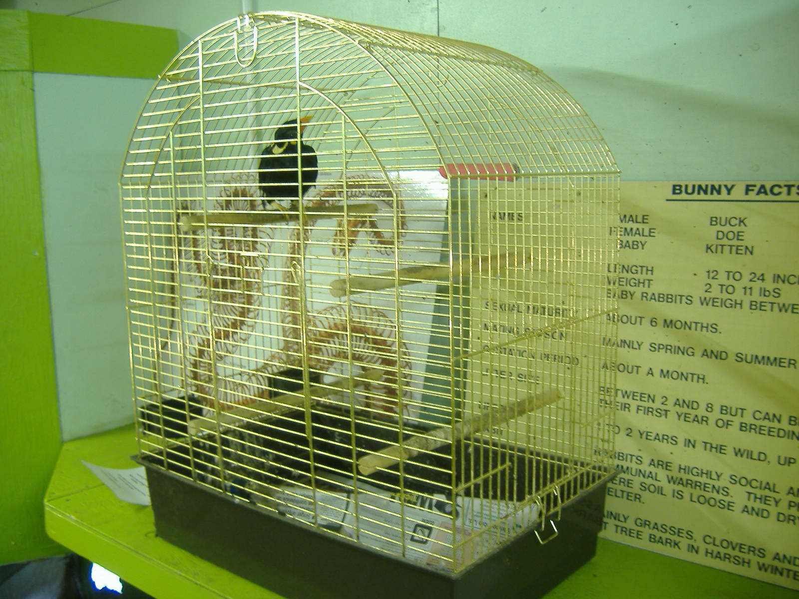 Black Isle Wildlife Park November 2008