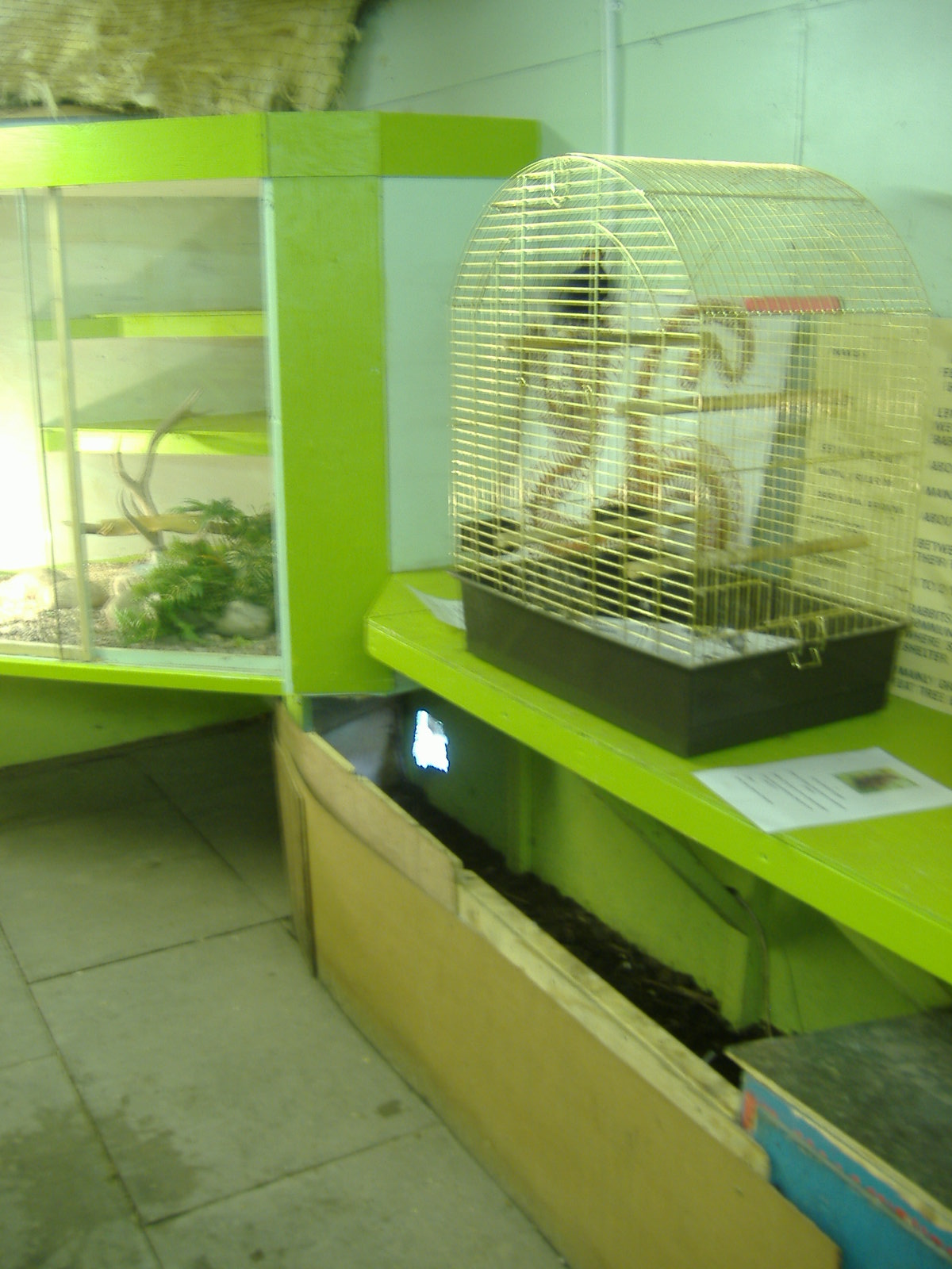 Black Isle Wildlife Park November 2008