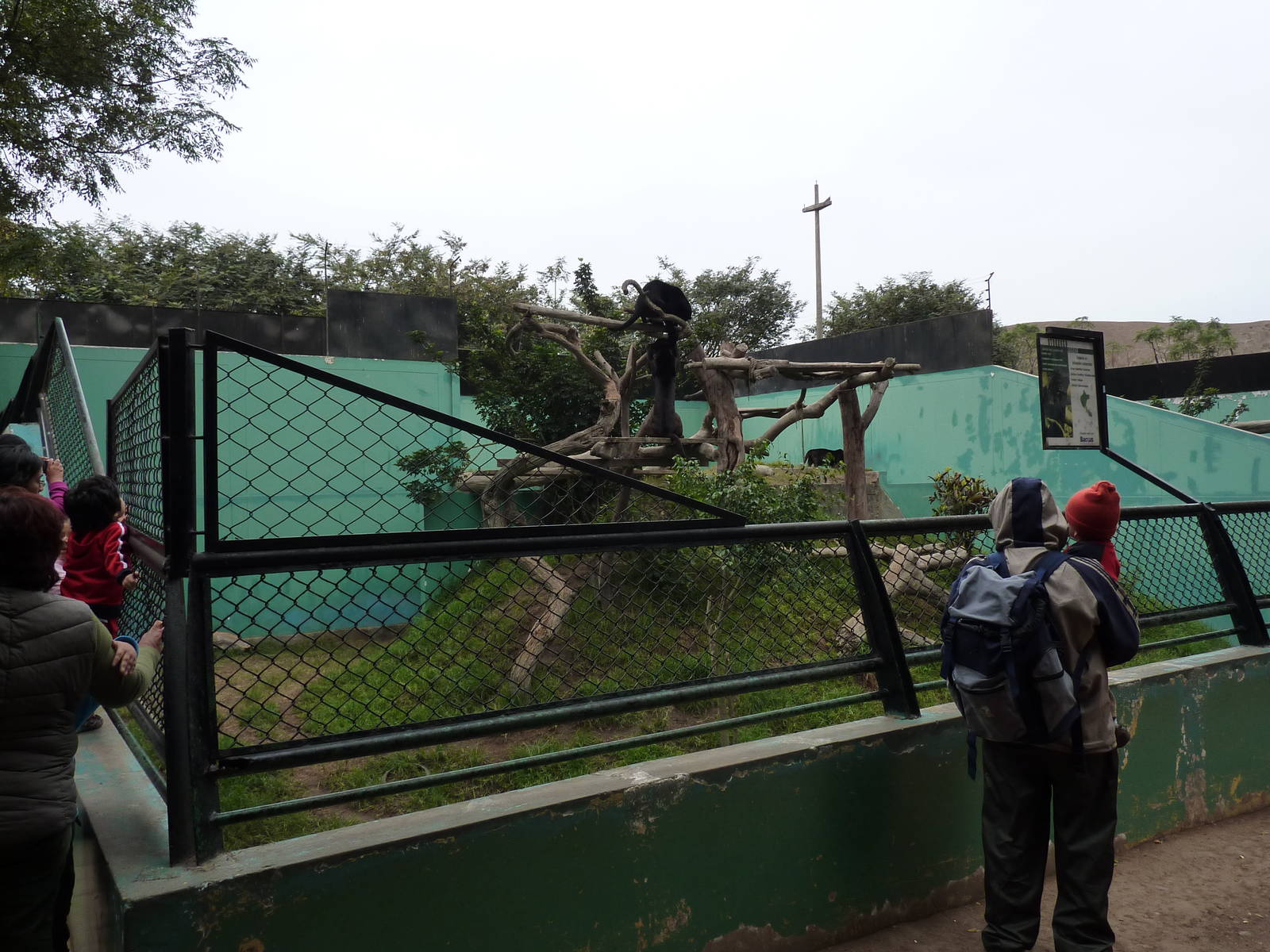 Black jaguar enclosure