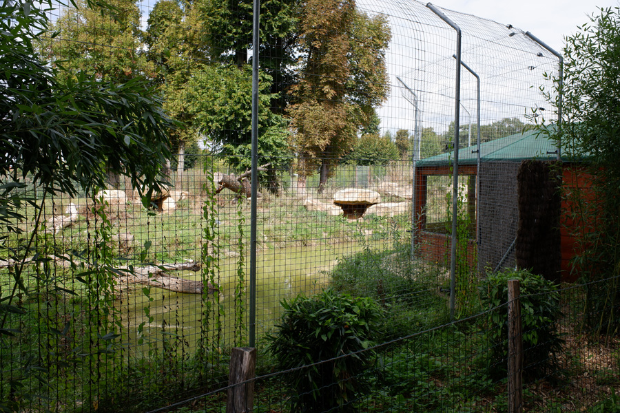 black jaguar exhibit