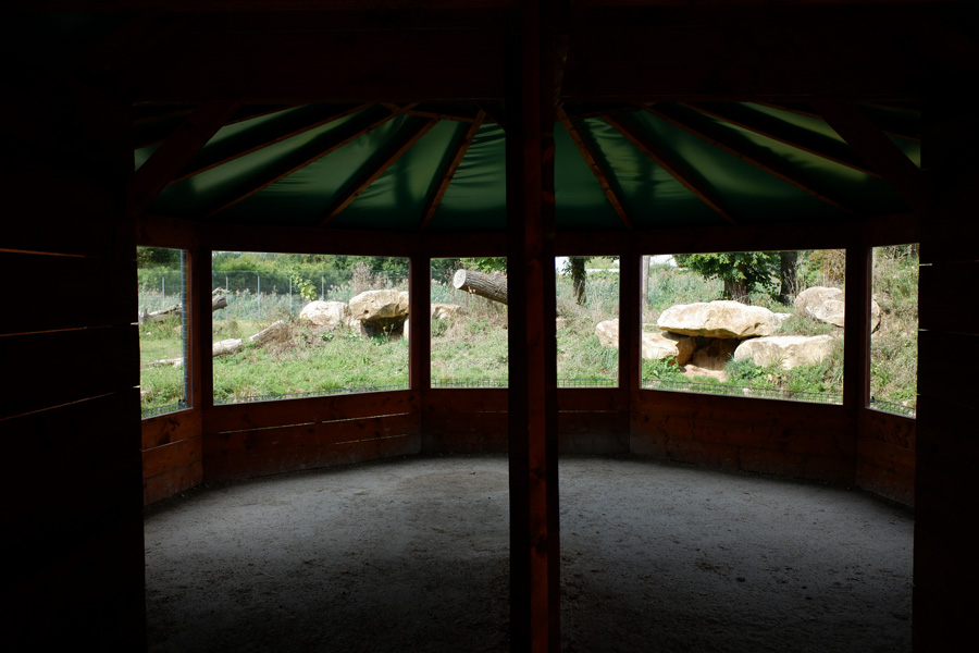 black jaguar exhibit