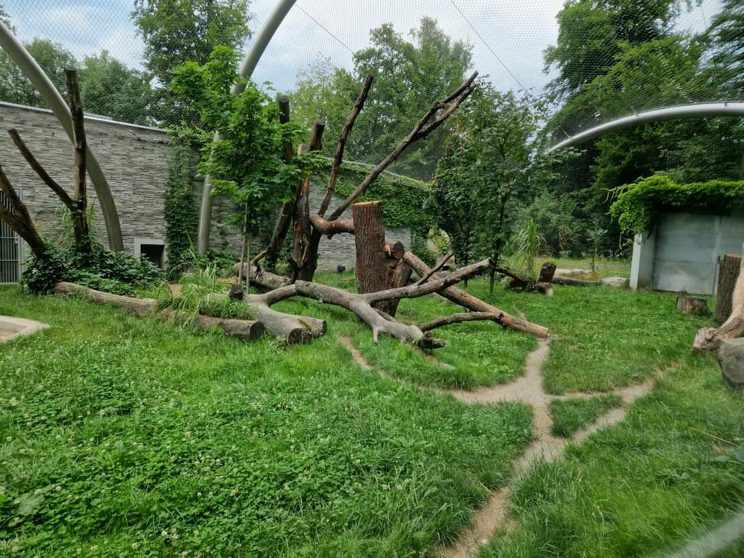 Black Jaguar Exhibit