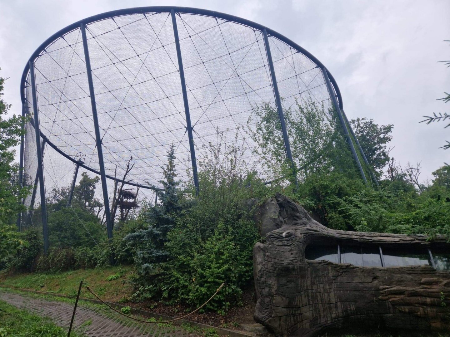 Black Kite/ Black Stork Aviary