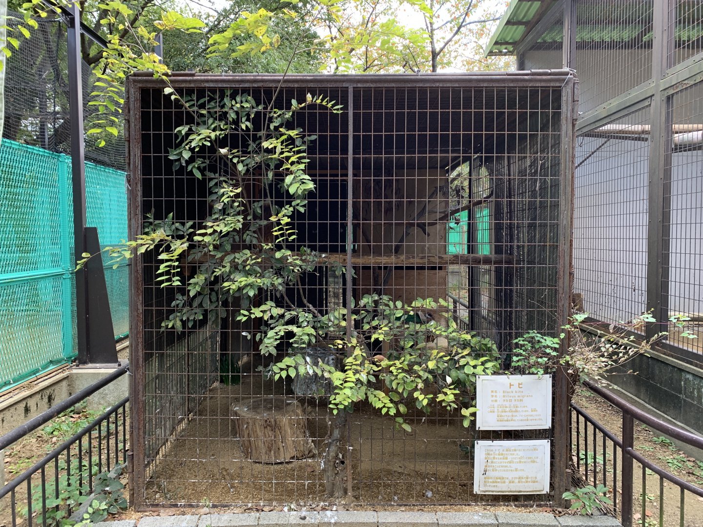 Black Kite Enclosure (Himeji City Zoo)