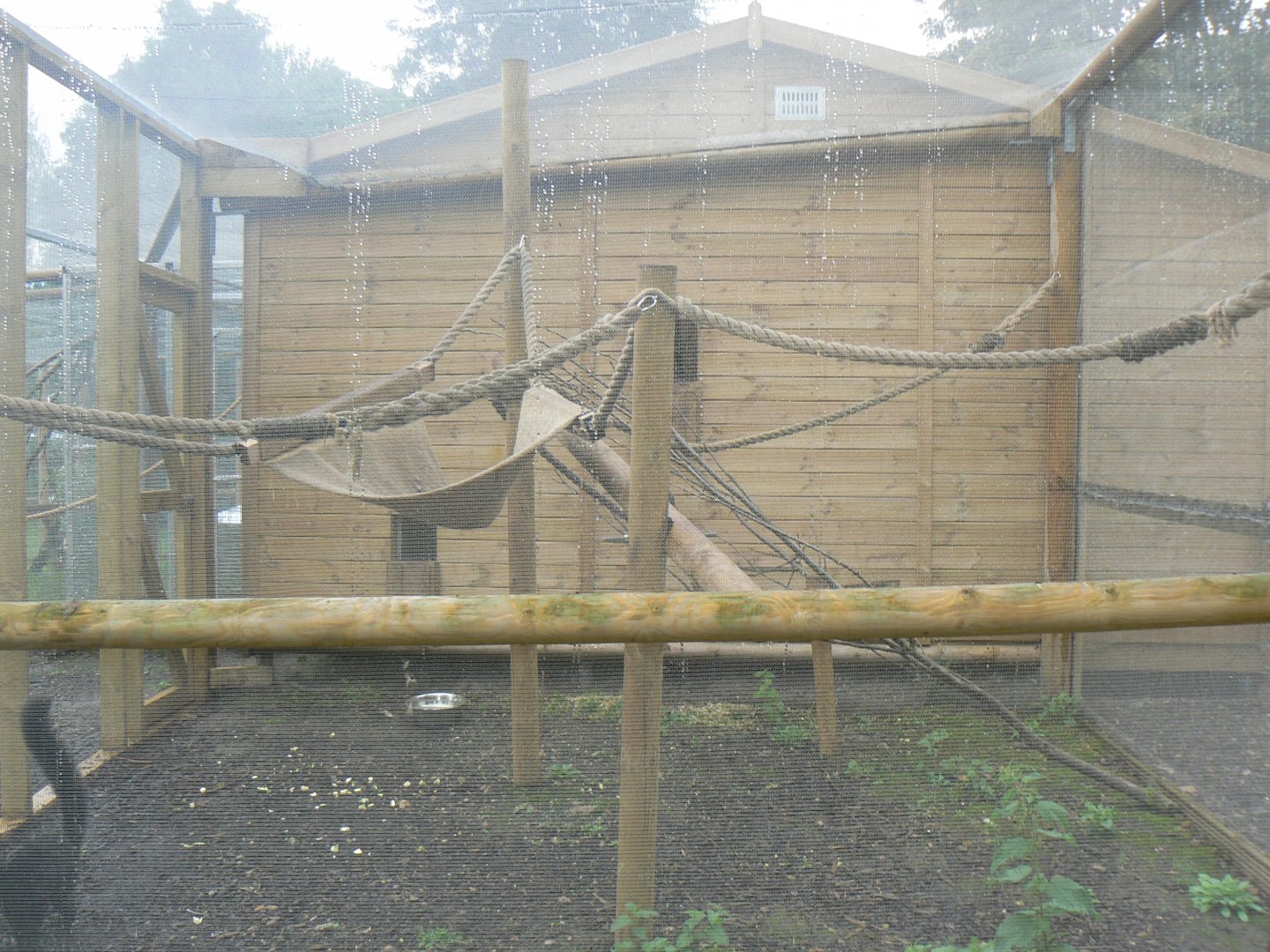 Black Lemur and Collared Lemur Enclosure - 27 July 2017