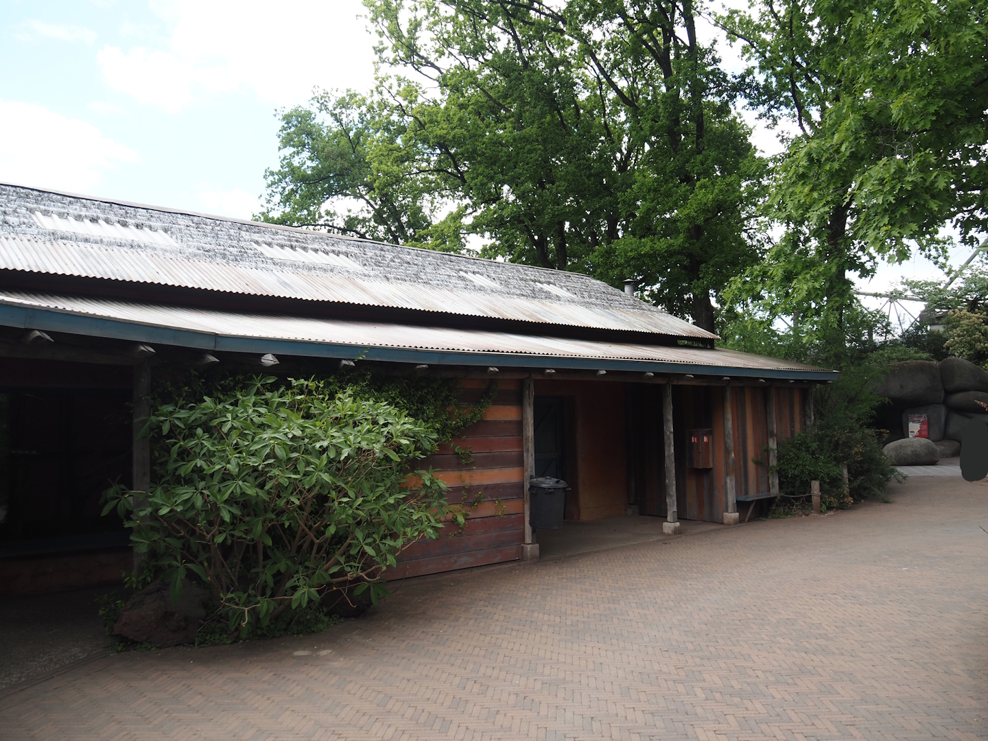 Black lemur and Ring-tailed lemur house, 2025-05-17