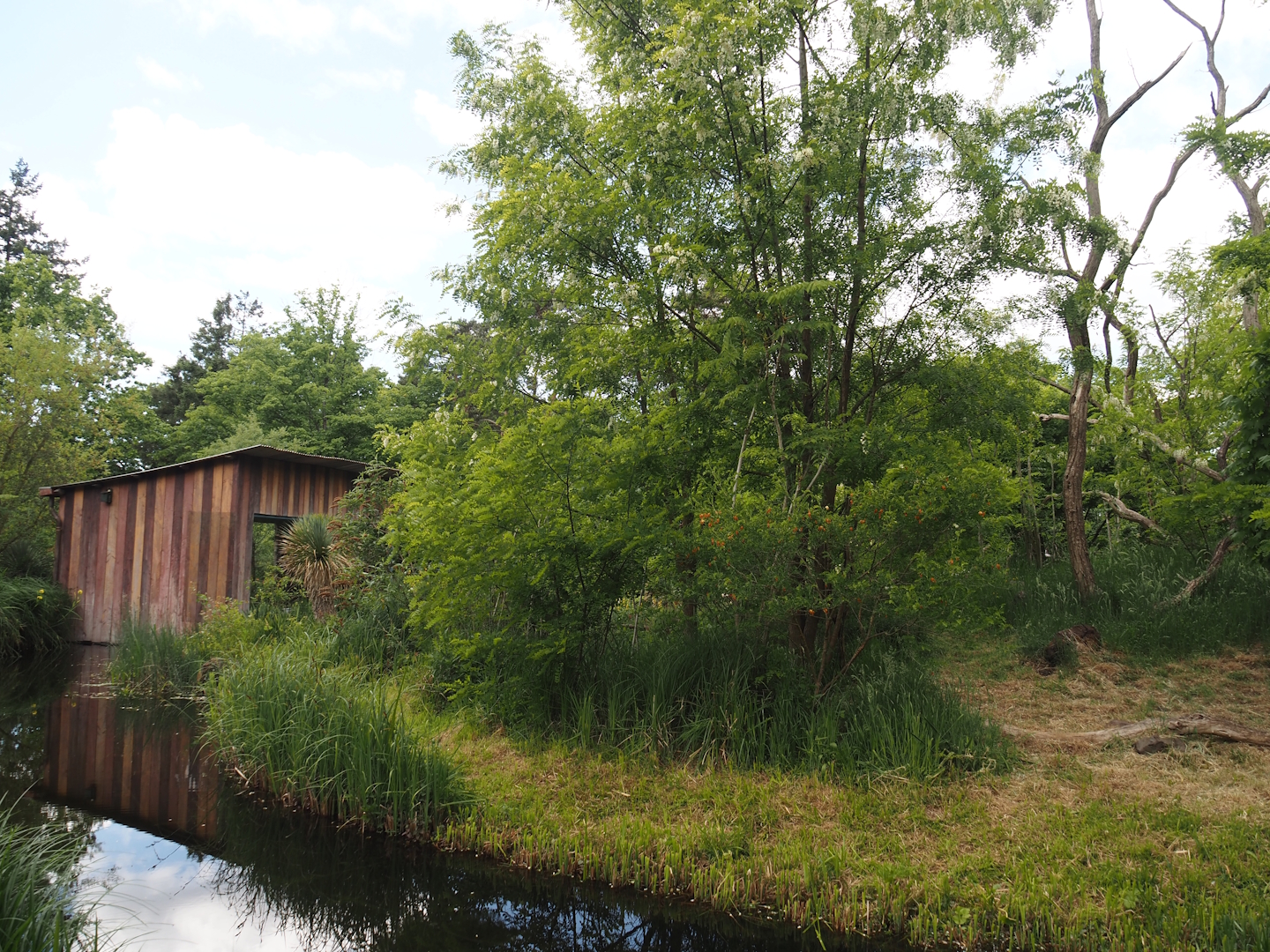 Black lemur and Ring-tailed lemur island, 2025-05-17