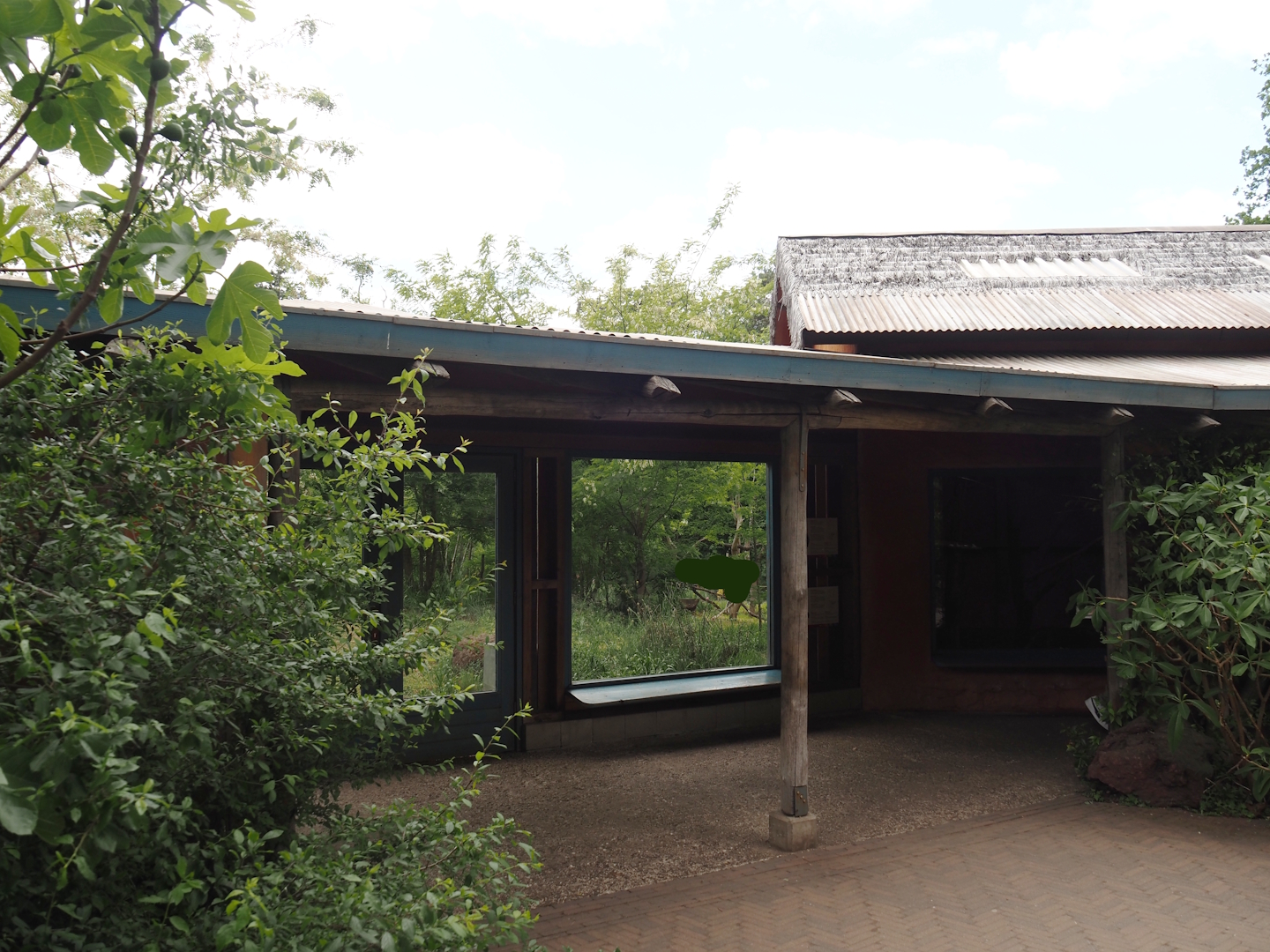 Black lemur and Ring-tailed lemur viewing area, 2025-05-17