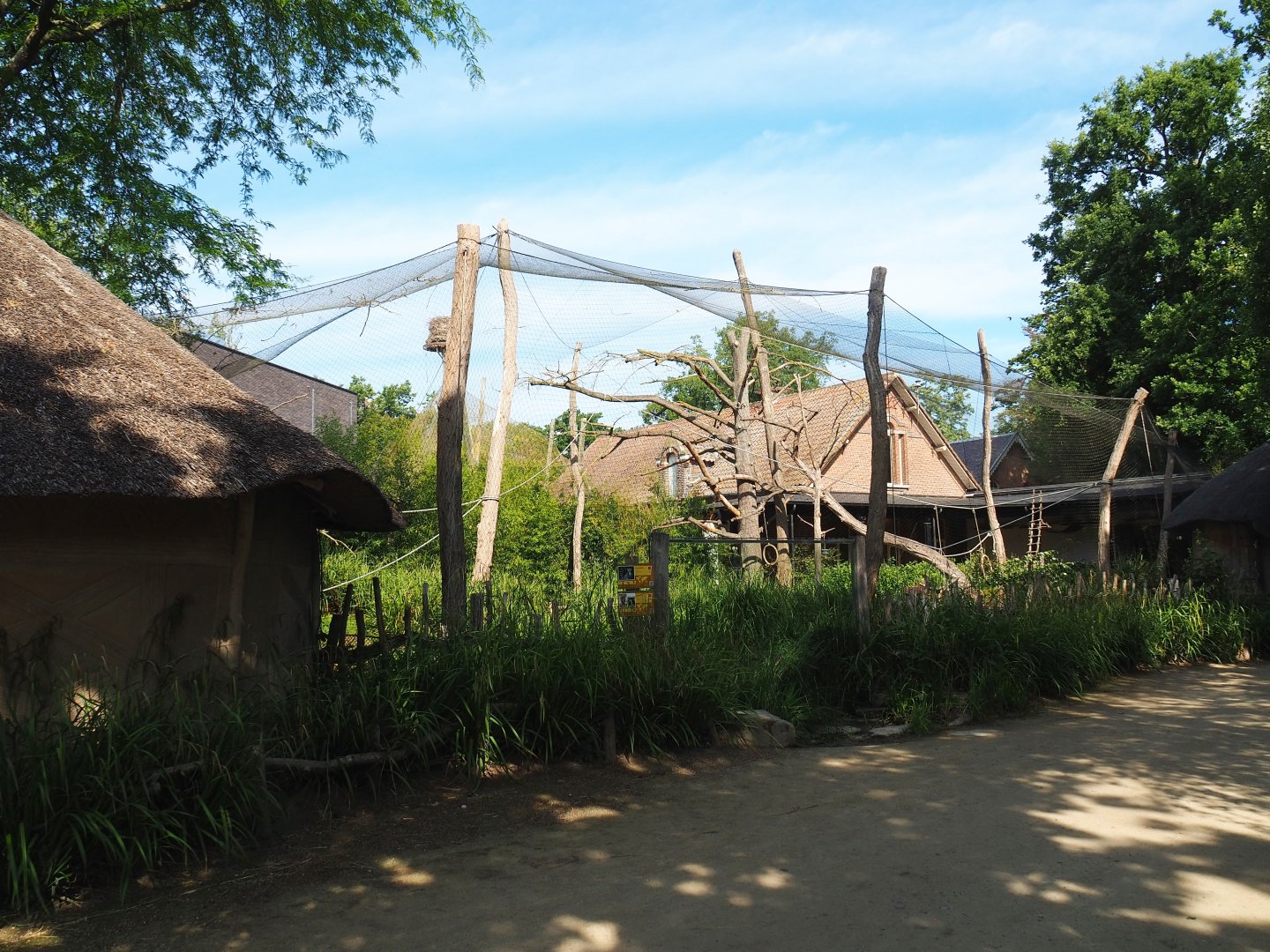 Black lemur and Ring-tailed lemur walk-through exhibit, 2020-06-12