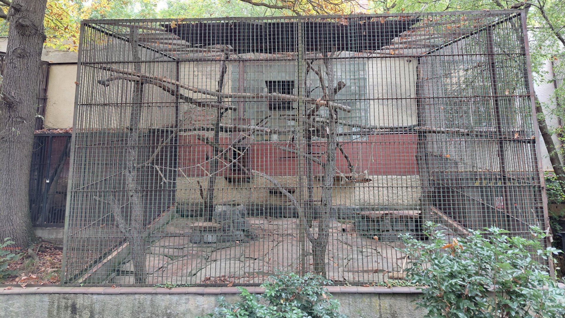 Black lemur cage