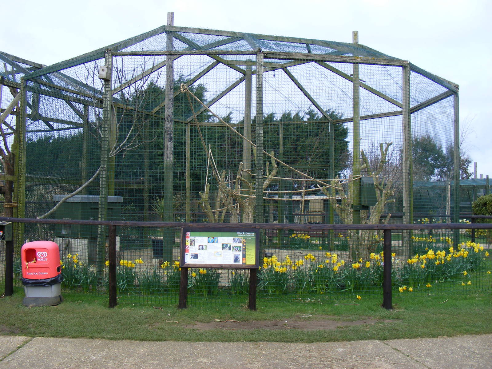 Black lemur enclosure at Isle of Wight Zoo, 5 April 2010