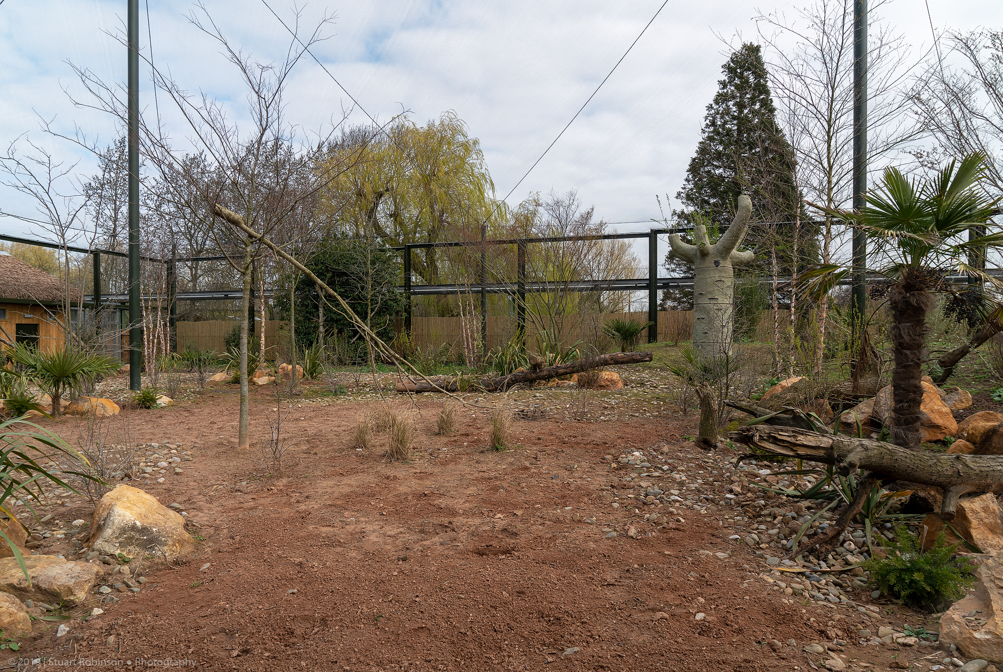 Black Lemur Enclosure - Madagascar Exhibit - 26/03/2019