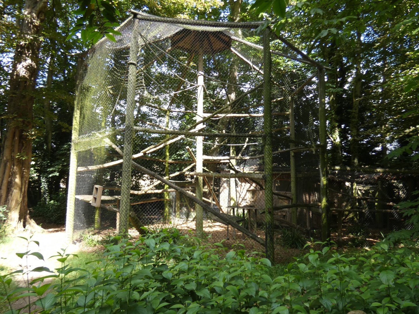 Black Lemur enclosure