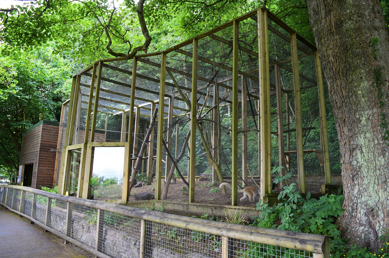Black lemur enclosure