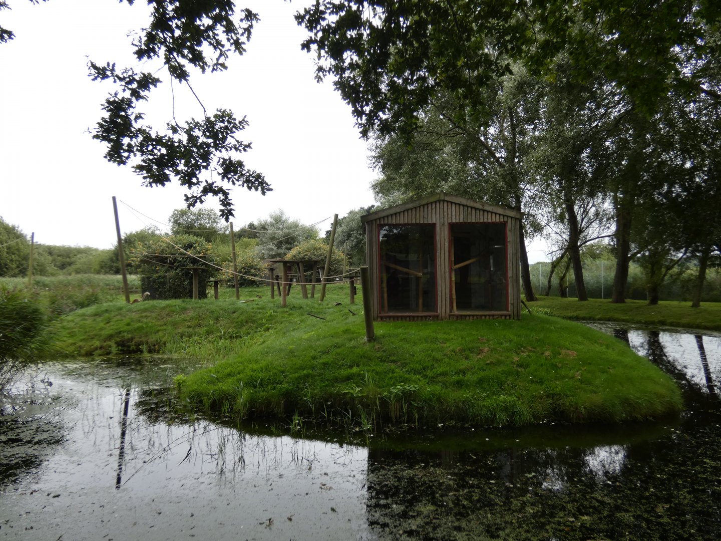 Black lemur enclosure