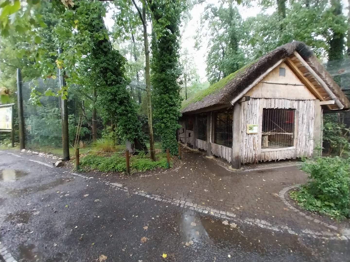 Black lemur enclosure