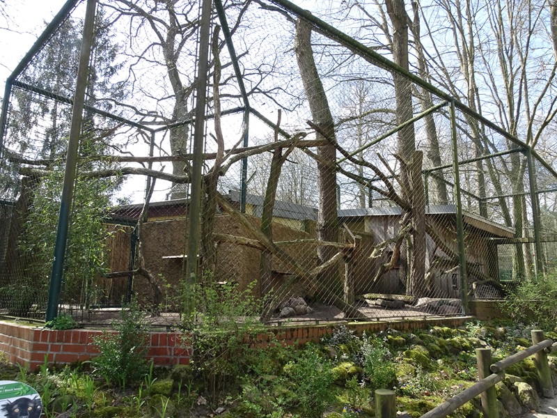 Black lemur enclosure