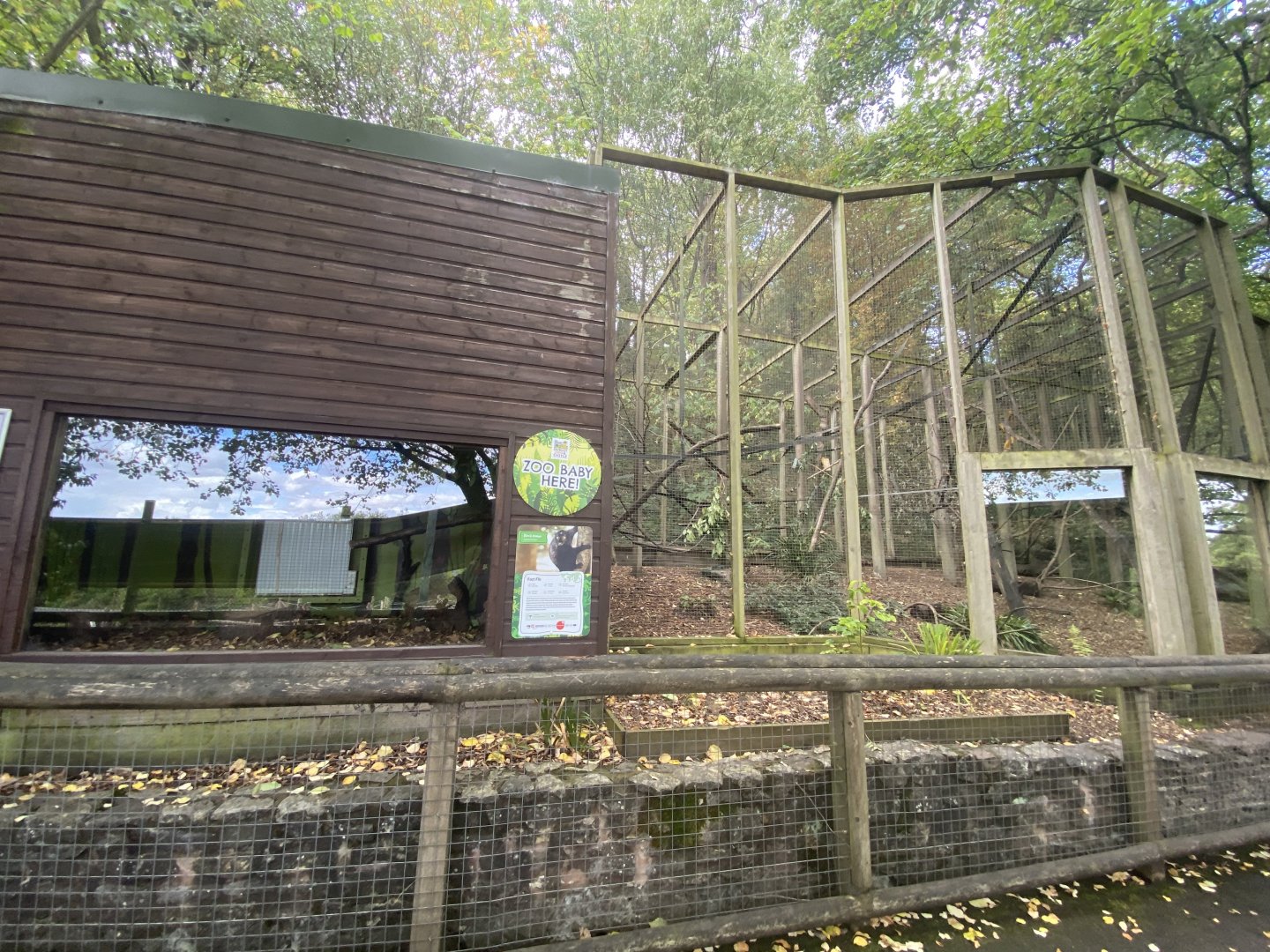 Black lemur enclosure