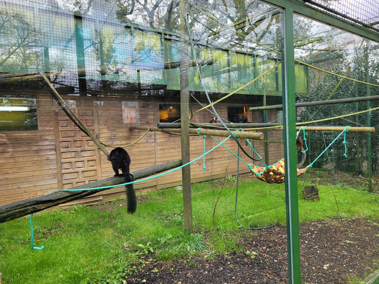 Black lemur exhibit -Zoo de Santillana del Mar (2023)