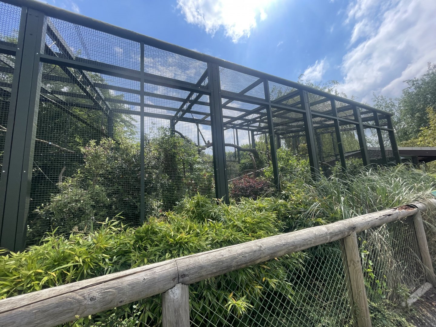 Black Lemur Exhibit: