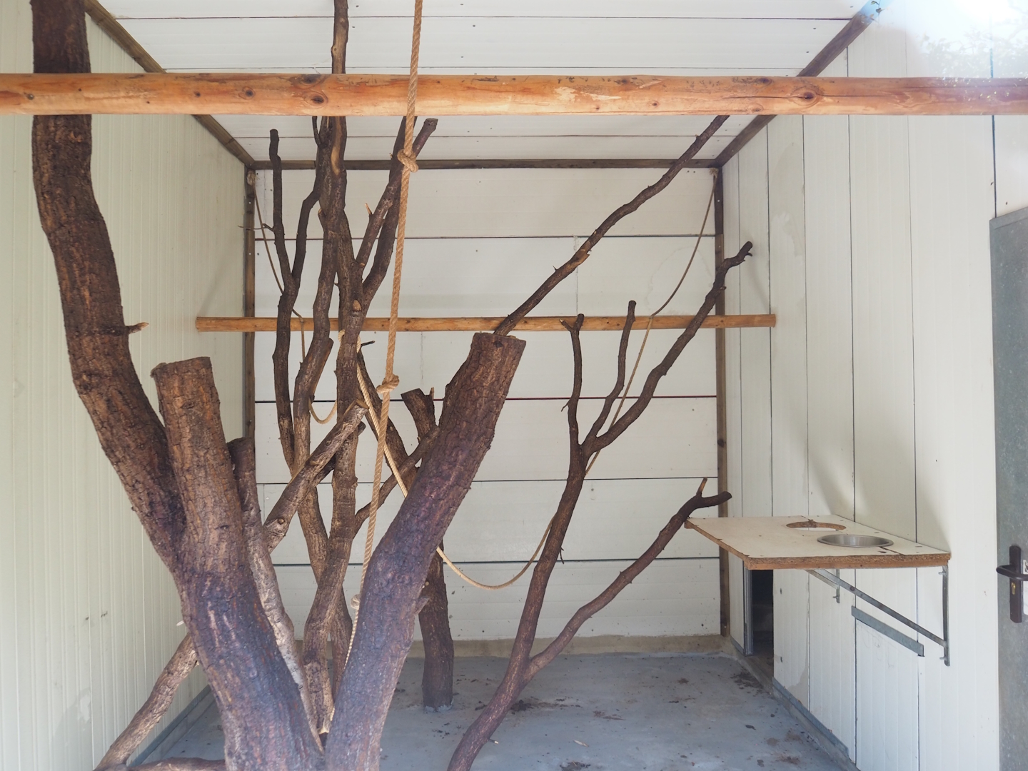 Black lemur indoor exhibit, 2023-06-24