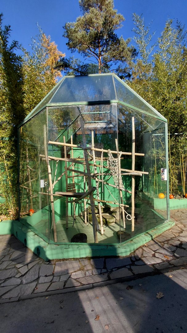 Black lemur outdoor exhibit