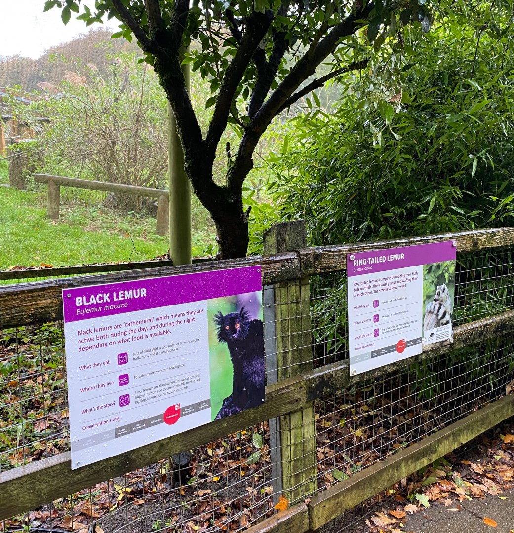 Black lemur signage, ZSL Whipsnade, UK
