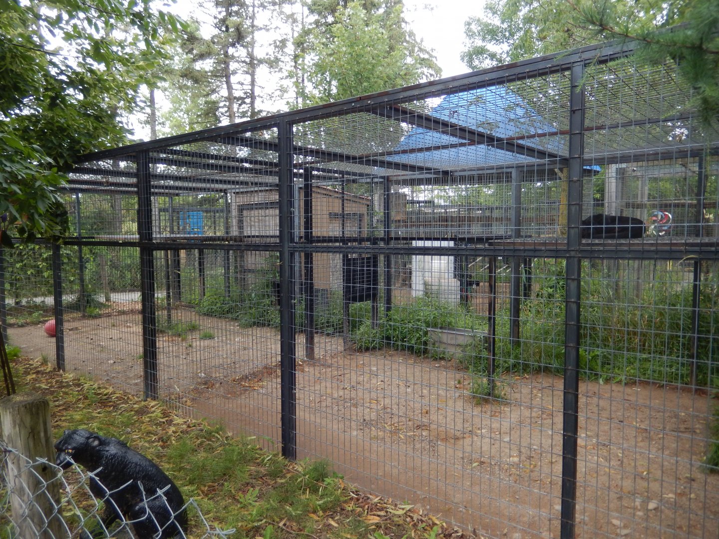 Black Leopard Cage