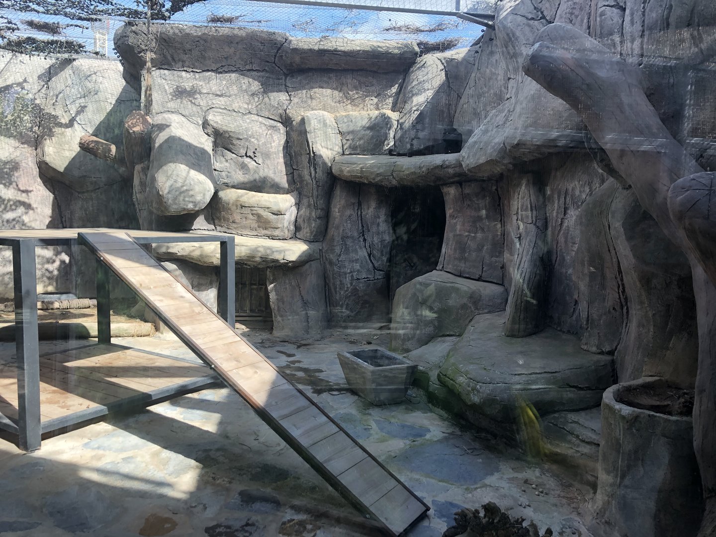 Black Leopard Enclosure atAslan Park