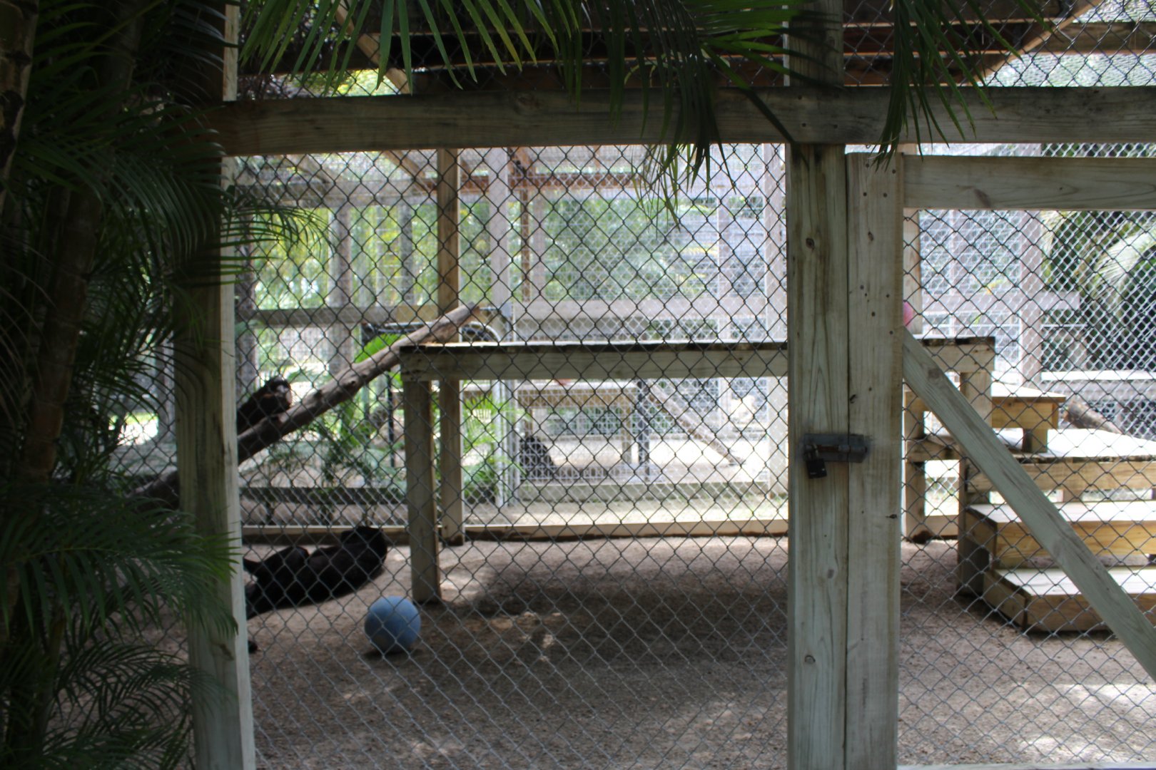 Black Leopard Enclosure - Mccarthy Wildlife Sanctuary