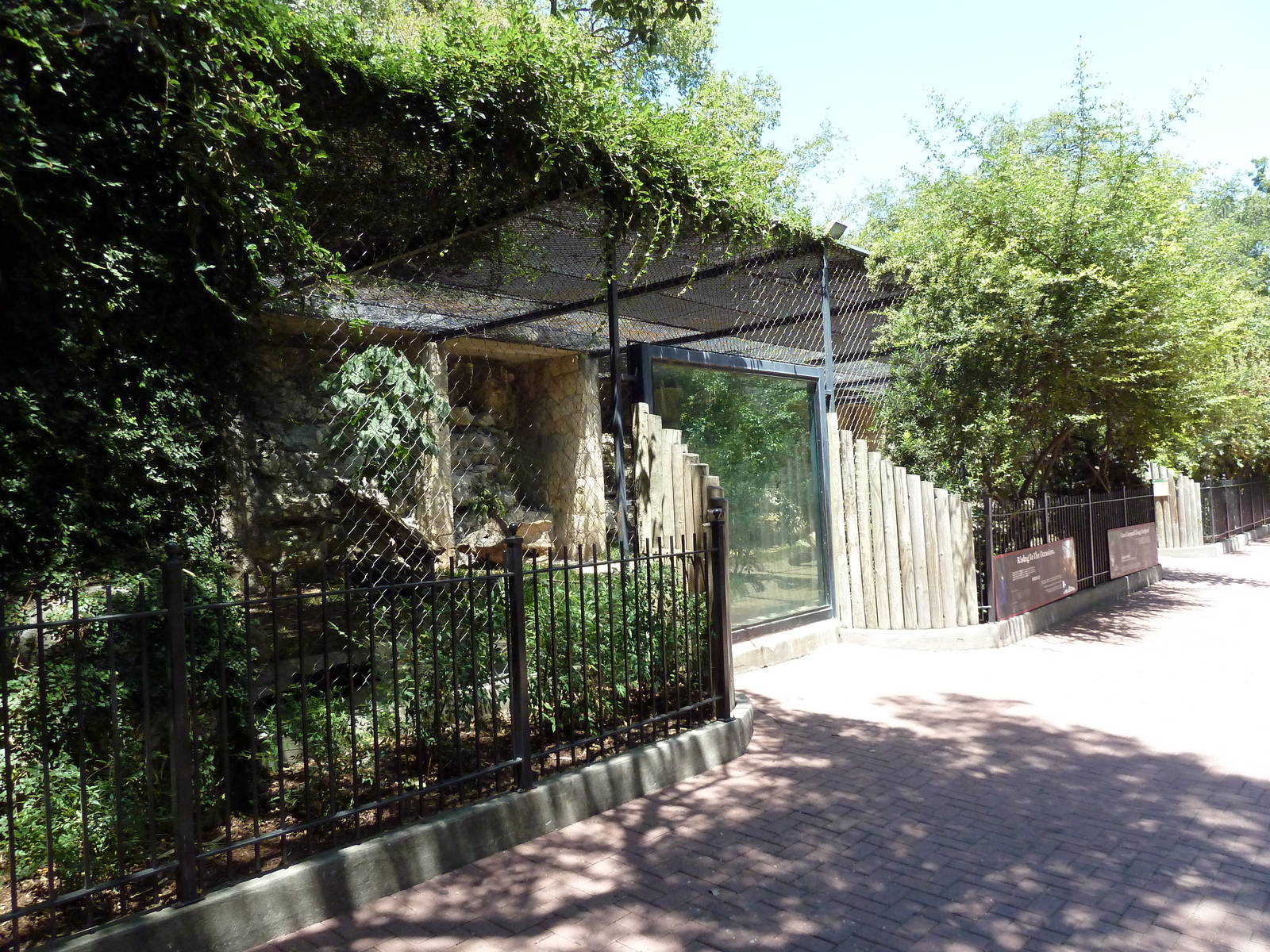 Black Leopard Exhibit