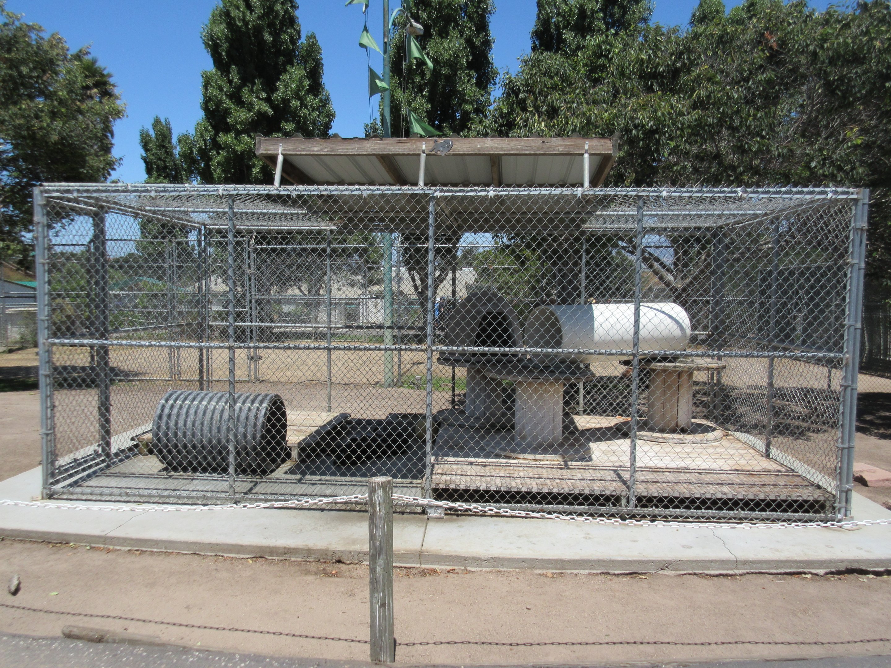 Black Leopard Exhibit
