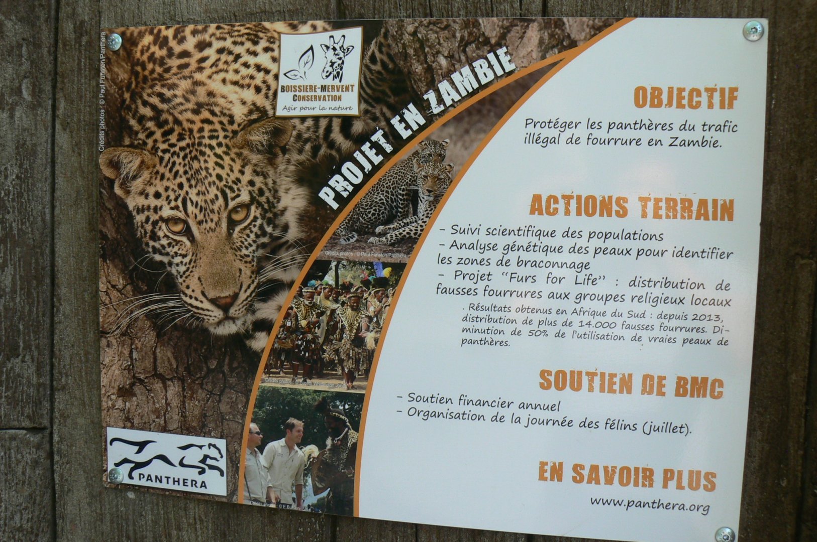 Black leopards exhibit - Conservation signage