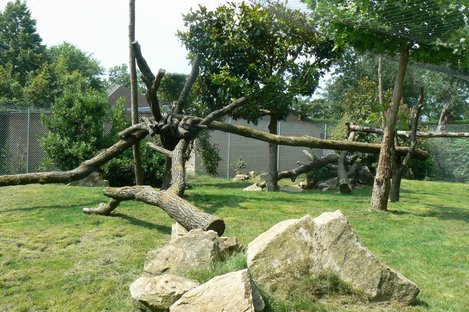 Black leopards exhibit - First enclosure