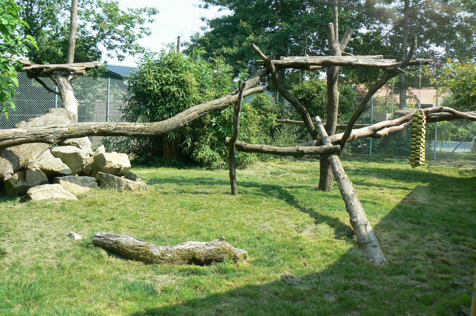 Black leopards exhibit - second enclosure