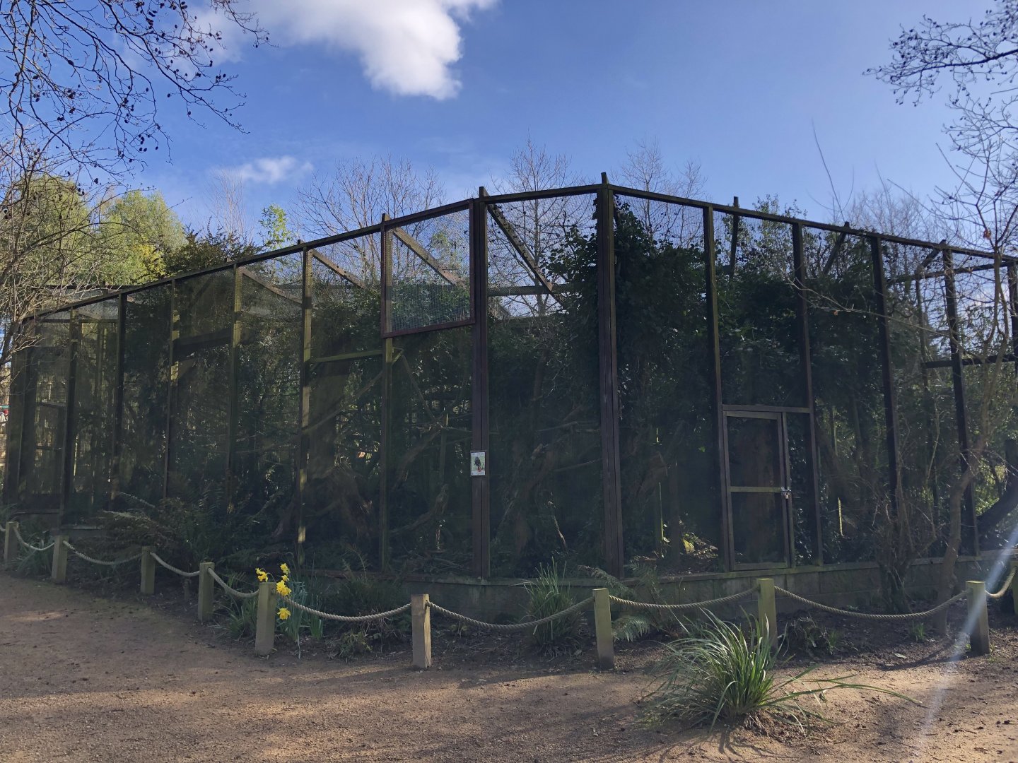 Black Lion Tamarin Enclosure