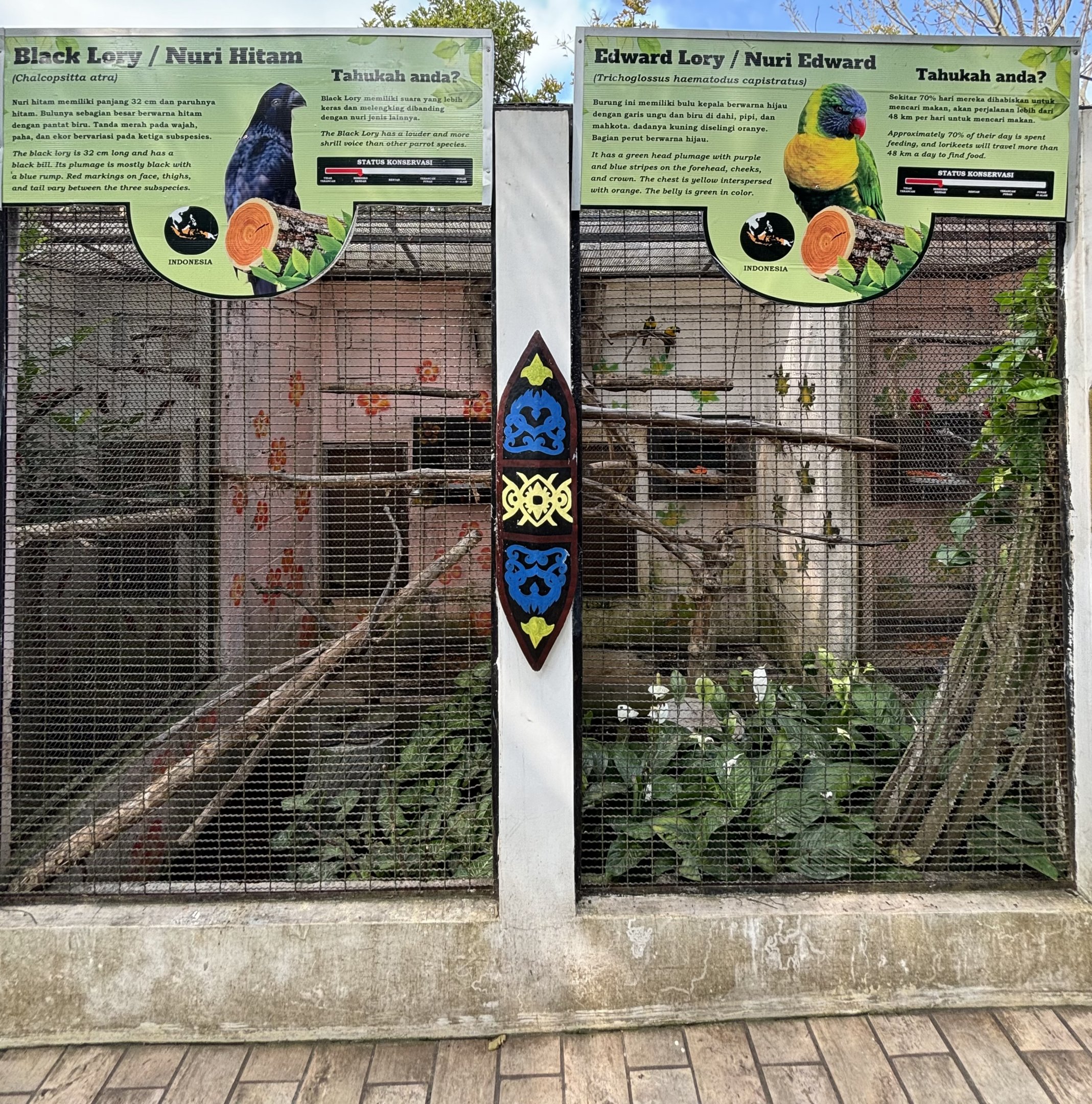 Black Lory + Edward Lory Aviaries