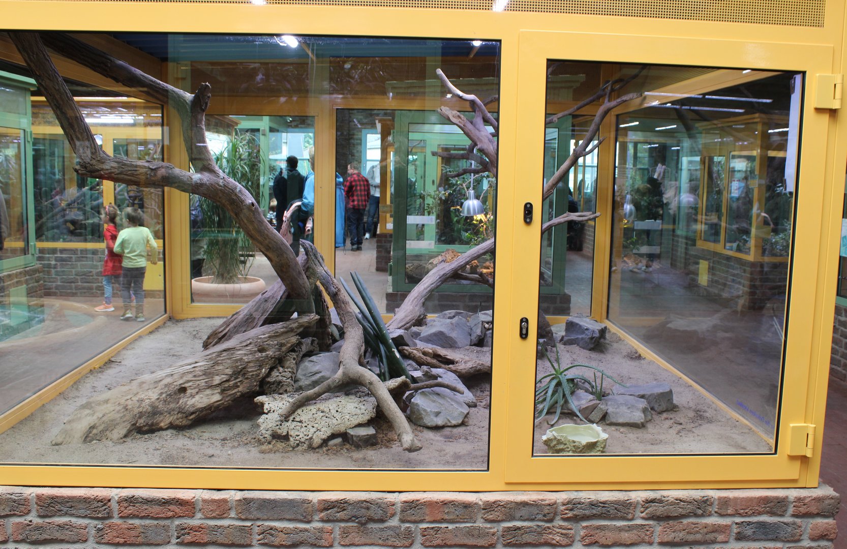 Black mamba enclosure